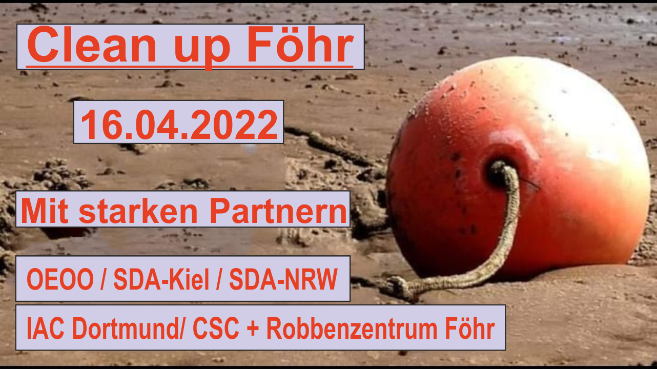clean-up-foehr4.png